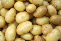 В Украине заметно подорожал картофель