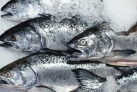 Украина в этом году экспортировала более 152 тонн охлажденной рыбы