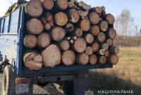 На Житомирщине разоблачили масштабную схему хищения леса для экспорта, — СБУ