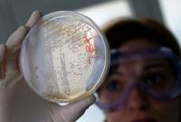 Бактерии способны изменять свою форму, чтобы обмануть антибиотики