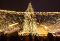 Стало известно, какой будет главная новогодняя елка Украины