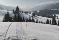 Карпати засипало снігом: місцями висота снігового покриву досягає 133 см