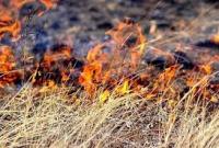 Раде предлагают усилить ответственность за самовольное выжигание растительности