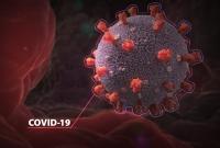 Как частицы коронавируса атакуют клетки человека и проникают в них (видео)