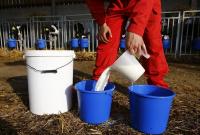 В Украине подорожала "молочка": на сколько подскочили цены