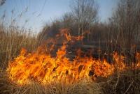 В Украине рассмотрят возможность введения ЧС в зоне тушения пожаров