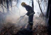 Пожар в Чернобыльской зоне не несет угрозу хранилищам радиационных отходов
