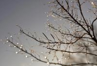 14 декабря циклон принесет в Украину дождь и мокрый снег
