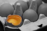 В Чернигове забросали яйцами машину нардепа: во время стычки задержали десяток людей