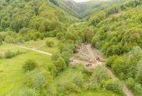 Впервые с 1996 года: в Украине запускают национальную инвентаризацию лесов