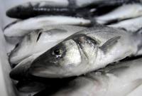 Украина нарастила экспорт готовой и консервированной рыбы на 14%