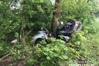 В Киевской области нетрезвый водитель въехал в дерево, погибла несовершеннолетняя пассажирка