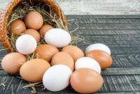 Україна скоротила експорт яєць