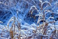 Снег до 5 см и холодно до -12: в Украине резко ухудшилась погода