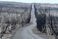 В Австралии готовятся к массовой эвакуации: пожары усилились