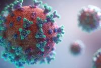 Може містити до 40 мутацій: в Африці зафіксували новий штам коронавірусу
