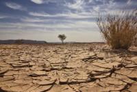 Україна лідирує у рейтингу країн з найбільшим ризиком виникнення посухи