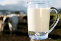 В Україні молочники захищатимуться від зростаючого імпорту