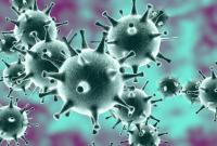 Мутация коронавируса увеличивает вероятность его передачи в семьях